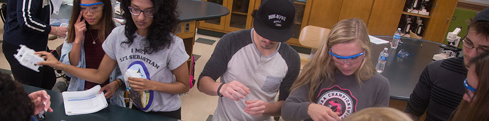 Supplemental Instruction