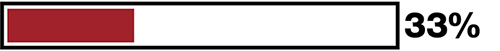 33 percent progress bar
